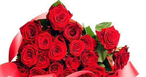 玫瑰的寓意和传递爱情的含义